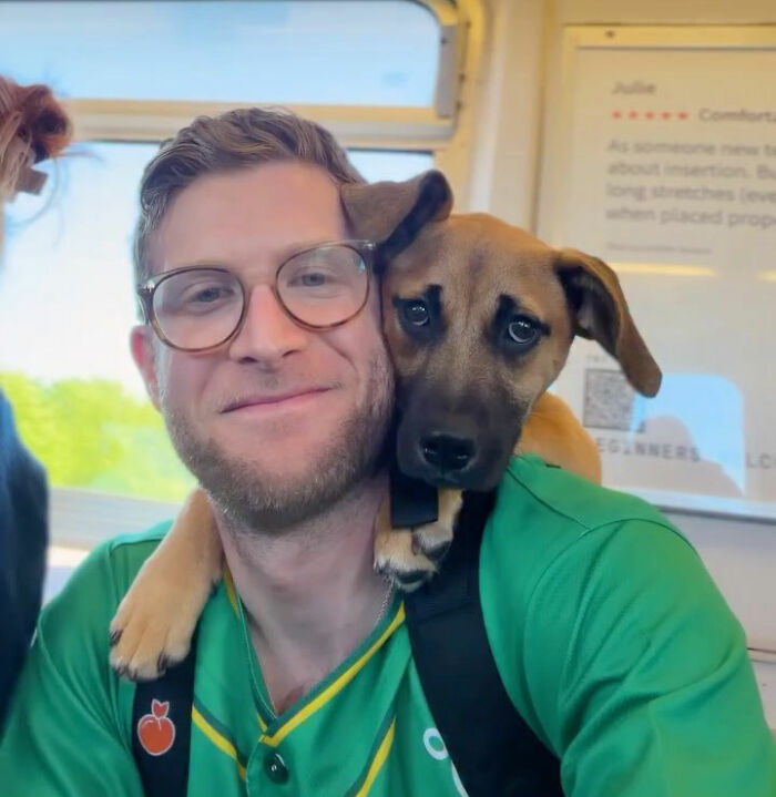 This Content Creator Carries Shelter Dogs Around NYC In A Backpack To Help Them Get Adopted This Content Creator Carries Shelter Dogs Around NYC In A Backpack To Help Them Get Adopted
