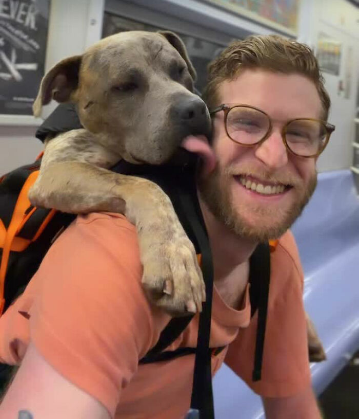 This Content Creator Carries Shelter Dogs Around NYC In A Backpack To Help Them Get Adopted This Content Creator Carries Shelter Dogs Around NYC In A Backpack To Help Them Get Adopted