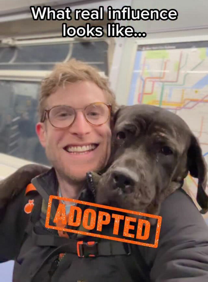 This Content Creator Carries Shelter Dogs Around NYC In A Backpack To Help Them Get Adopted This Content Creator Carries Shelter Dogs Around NYC In A Backpack To Help Them Get Adopted