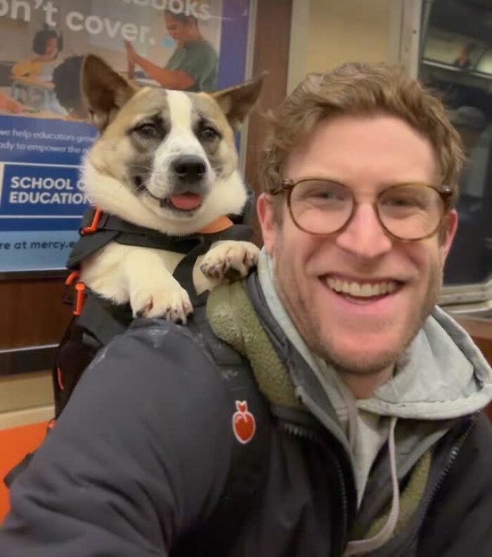 This Content Creator Carries Shelter Dogs Around NYC In A Backpack To Help Them Get Adopted This Content Creator Carries Shelter Dogs Around NYC In A Backpack To Help Them Get Adopted
