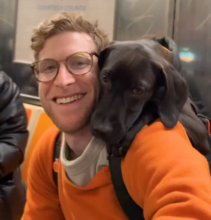 This Content Creator Carries Shelter Dogs Around NYC In A Backpack To Help Them Get Adopted This Content Creator Carries Shelter Dogs Around NYC In A Backpack To Help Them Get Adopted