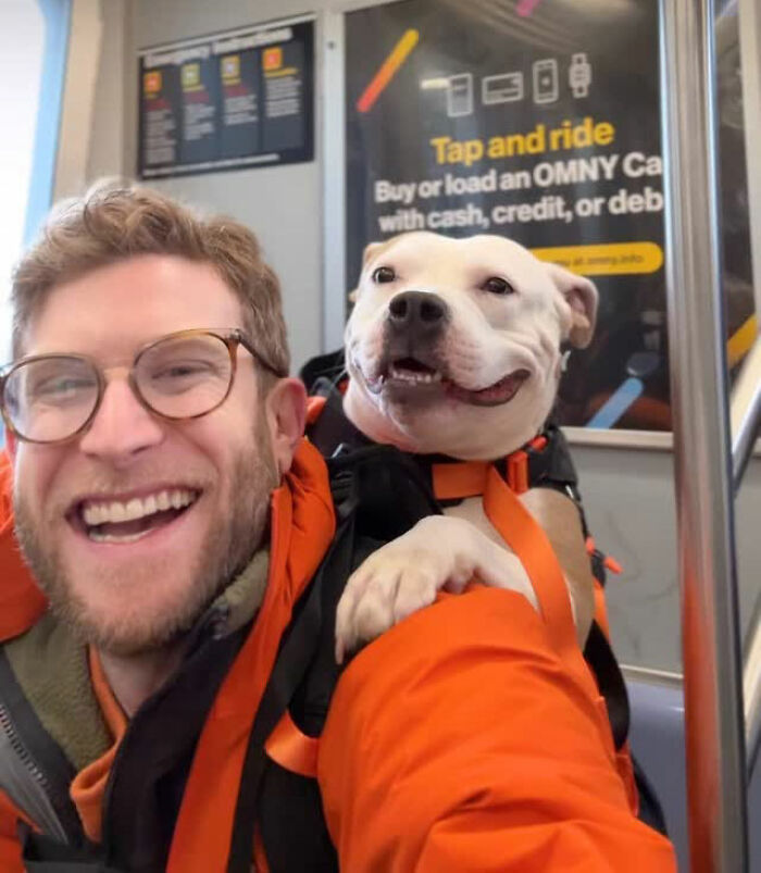 This Content Creator Carries Shelter Dogs Around NYC In A Backpack To Help Them Get Adopted This Content Creator Carries Shelter Dogs Around NYC In A Backpack To Help Them Get Adopted