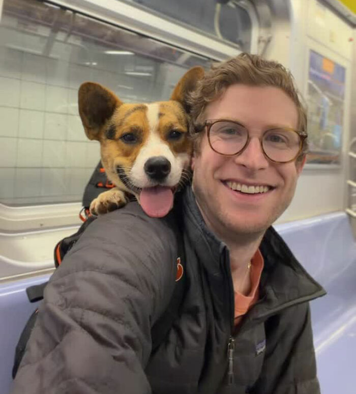 This Content Creator Carries Shelter Dogs Around NYC In A Backpack To Help Them Get Adopted This Content Creator Carries Shelter Dogs Around NYC In A Backpack To Help Them Get Adopted