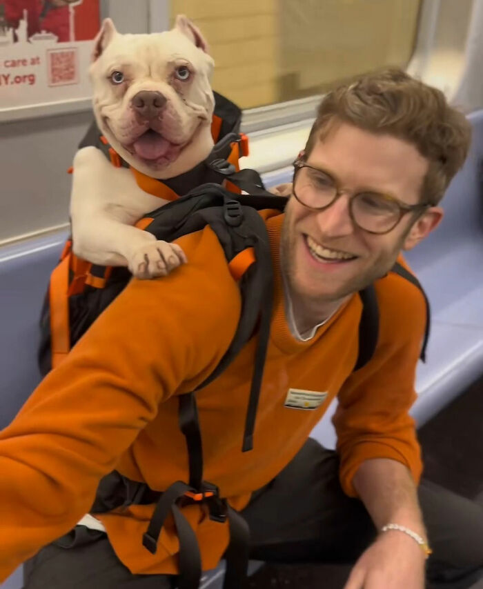 This Content Creator Carries Shelter Dogs Around NYC In A Backpack To Help Them Get Adopted This Content Creator Carries Shelter Dogs Around NYC In A Backpack To Help Them Get Adopted