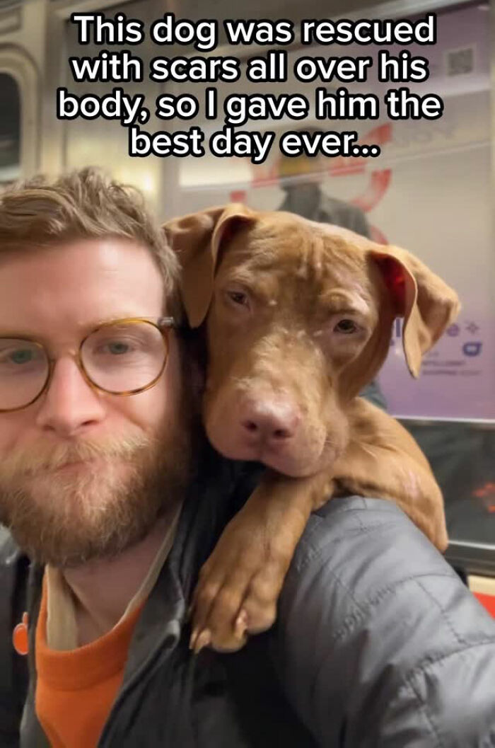 This Content Creator Carries Shelter Dogs Around NYC In A Backpack To Help Them Get Adopted This Content Creator Carries Shelter Dogs Around NYC In A Backpack To Help Them Get Adopted