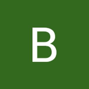 bridgettwilhelm avatar