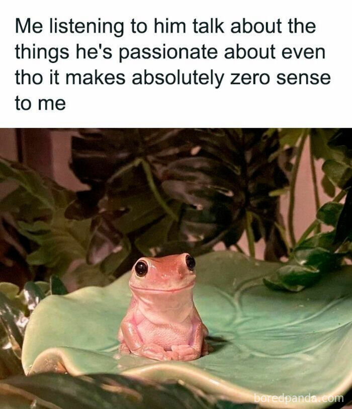 Sweet posts about love: a frog listening intently, representing passion.