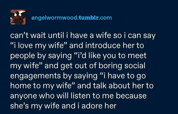 Sweet posts about love: a humorous text post about wanting a wife.