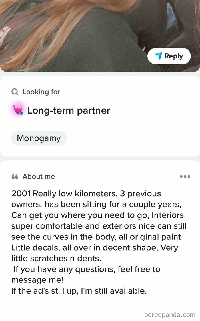 A dating app profile screenshot with an unusual bio describing a person like a used car, seeking a long-term partner.