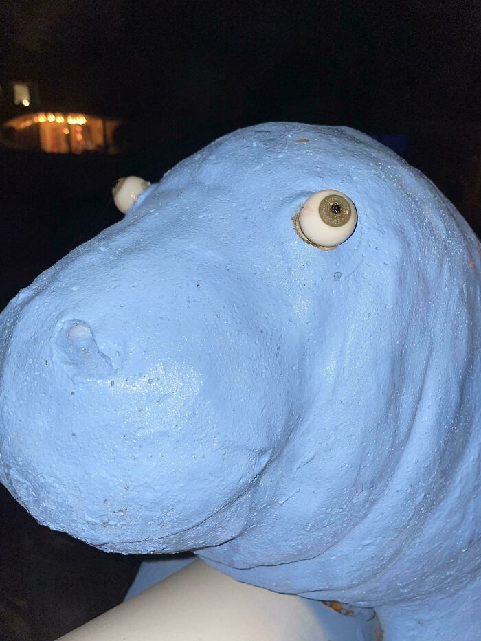 A creepy design fail of a blue hippo sculpture with unsettlingly realistic eyes making people uncomfortable.