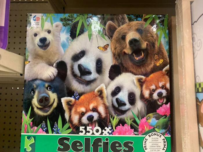 Design fails puzzle box with bears, pandas, and red pandas taking selfies.