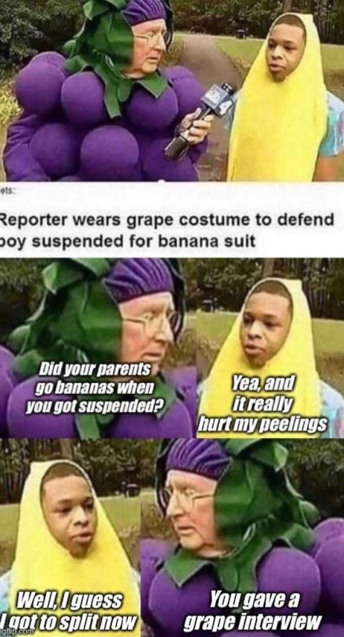 Reporter in grape costume interviewing boy in banana suit meme with puns