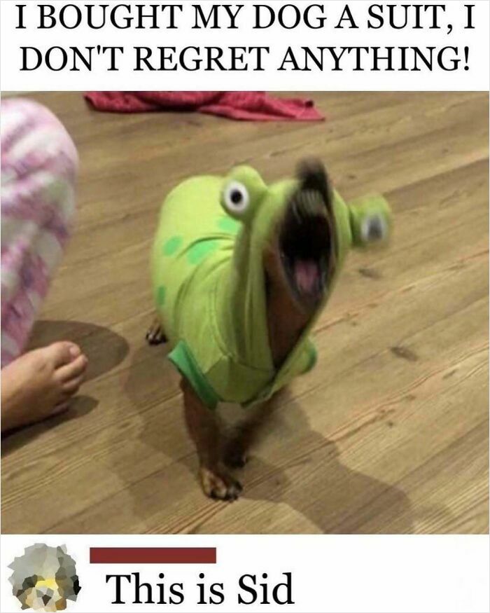 Dog wearing green suit with eyes and mouth showing excited reaction meme