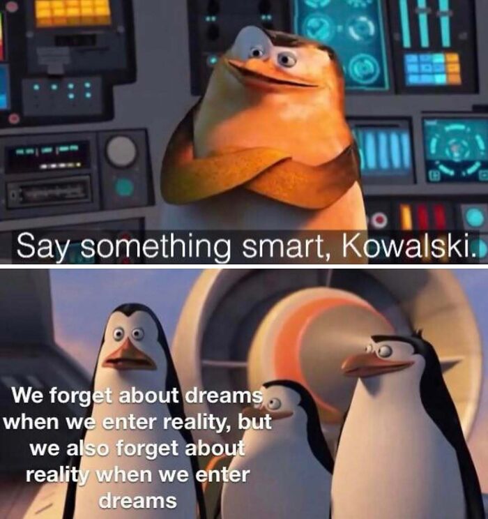 Funny silly memes with penguins discussing dreams and reality in animated scene