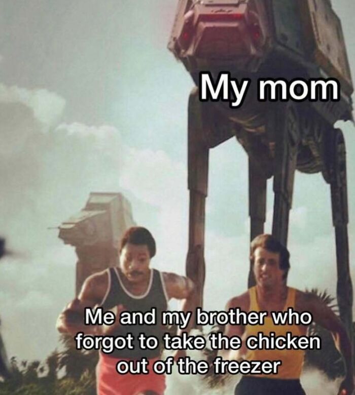 Funny silly memes about mom chasing kids who forgot chicken in freezer