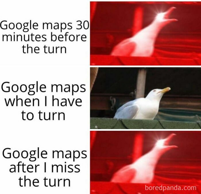 Funny Google Maps meme with seagull showing turn navigation frustration