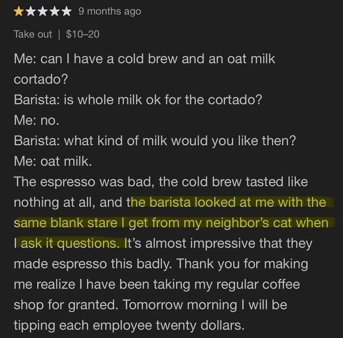 Hilariously savage burn from a coffee shop review criticizing the barista's blank stare and bad espresso.