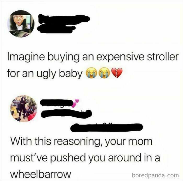 A hilariously savage burn as one person implies another was pushed in a wheelbarrow due to being an ugly baby.