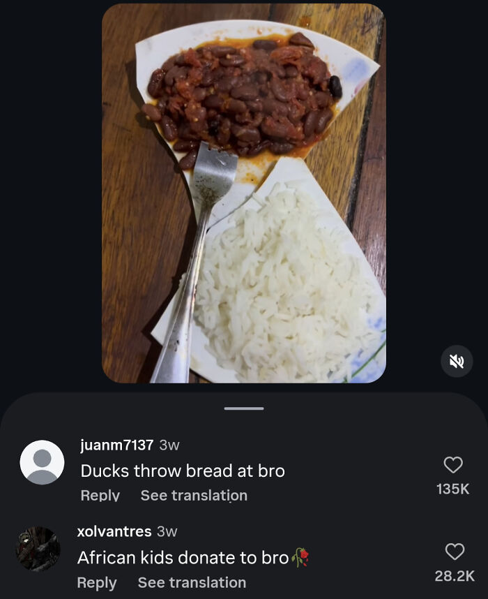 Two hilariously savage burns on a post about food: one comment states Ducks throw bread at bro, another says African kids donate to bro.