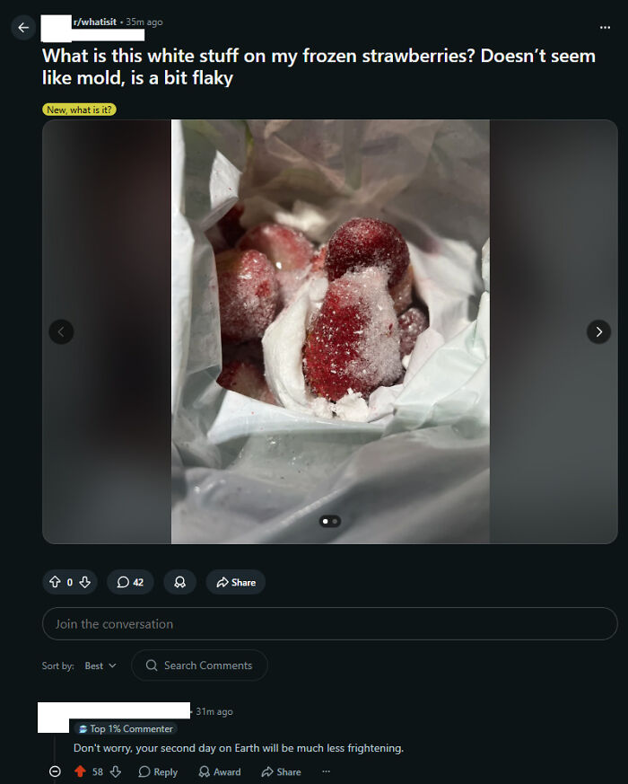 A Reddit post about white flaky stuff on frozen strawberries receives a hilariously savage burn: Your second day on Earth will be less frightening.
