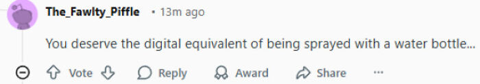 A Reddit comment delivering a hilarious burn: You deserve the digital equivalent of being sprayed with a water bottle.