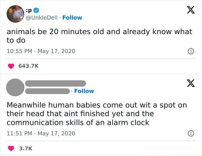 A screenshot of two hilariously savage burns on X (formerly Twitter) about the capabilities of animal versus human babies.