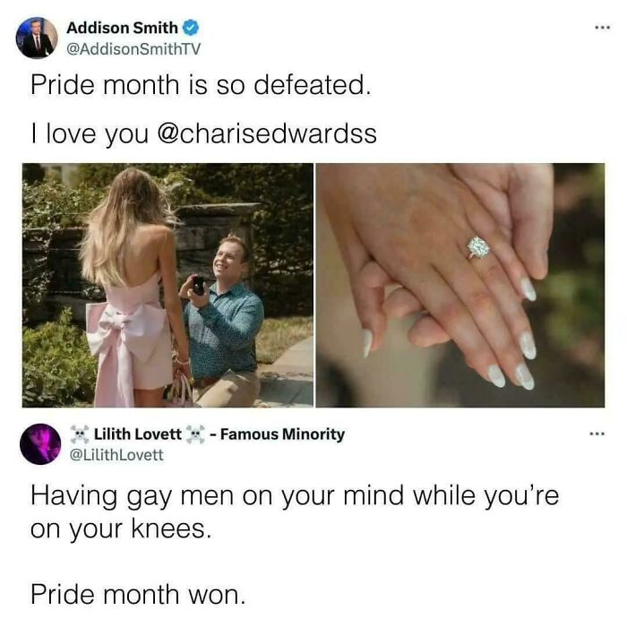 A hilariously savage burn on X (formerly Twitter) about Pride month winning against a defeated post.