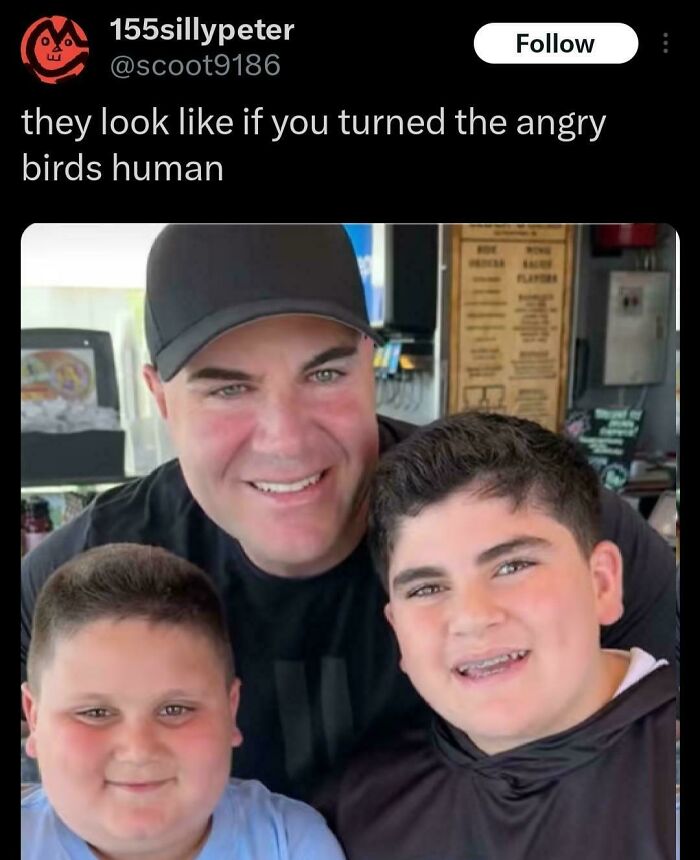 A meme with a savage burn caption saying the people look like angry birds turned human, featuring hilarious burns.