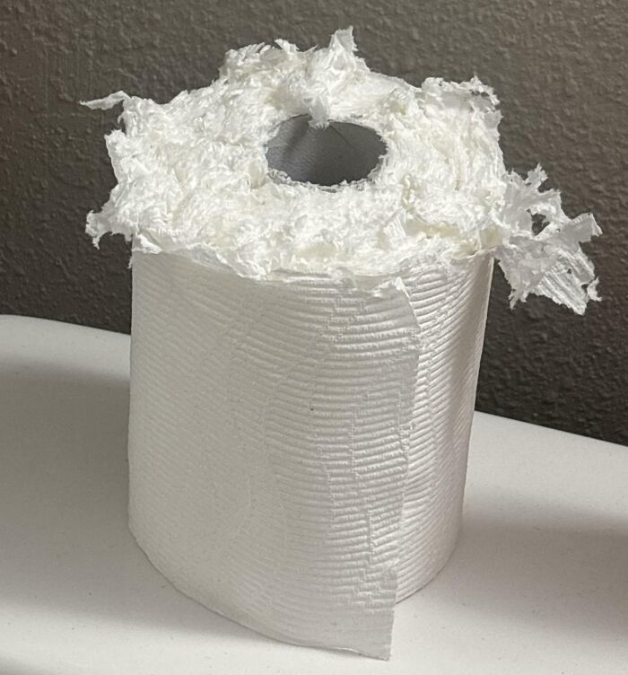 A roll of toilet paper with the top shredded and torn, a common issue with horrible roommates.