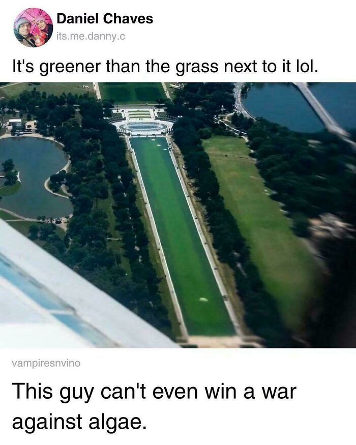 An aerial photo of the Lincoln Memorial Reflecting Pool with a savage burn about its green color from algae.