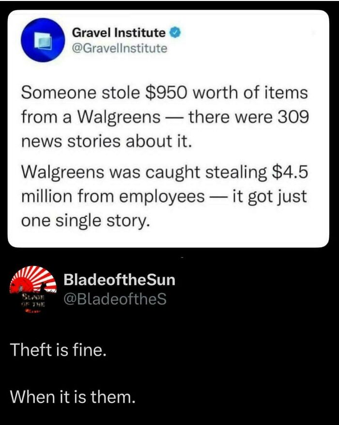 A screenshot showing a hilarious and savage burn about corporate theft versus petty theft from the Gravel Institute.