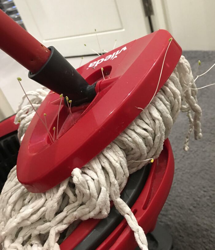 A red mop head with sprouts growing out of the mop strings, indicating neglect from horrible roommates.