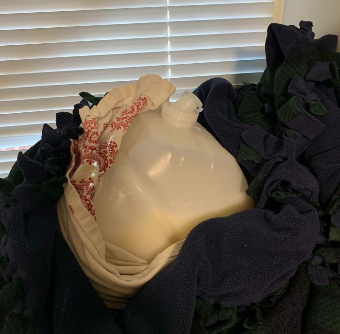 An open milk jug hidden among blankets, showing strange behavior from horrible roommates.