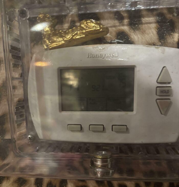 A thermostat locked in a plastic case, an extreme measure taken to deal with horrible roommates.