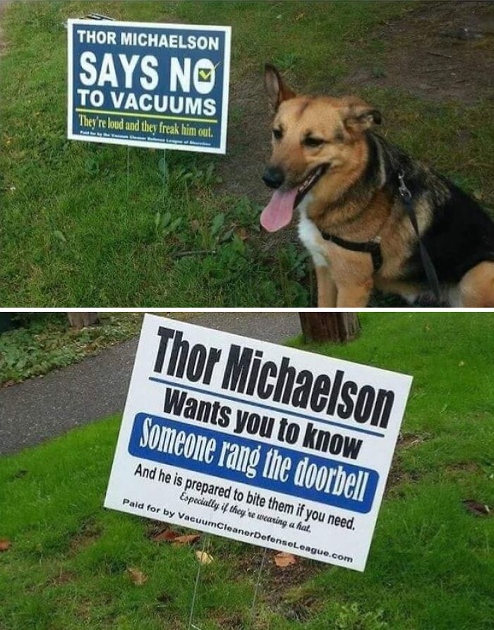 A funny image of a dog with yard signs against vacuums and about doorbells, for miscellaneous posts.