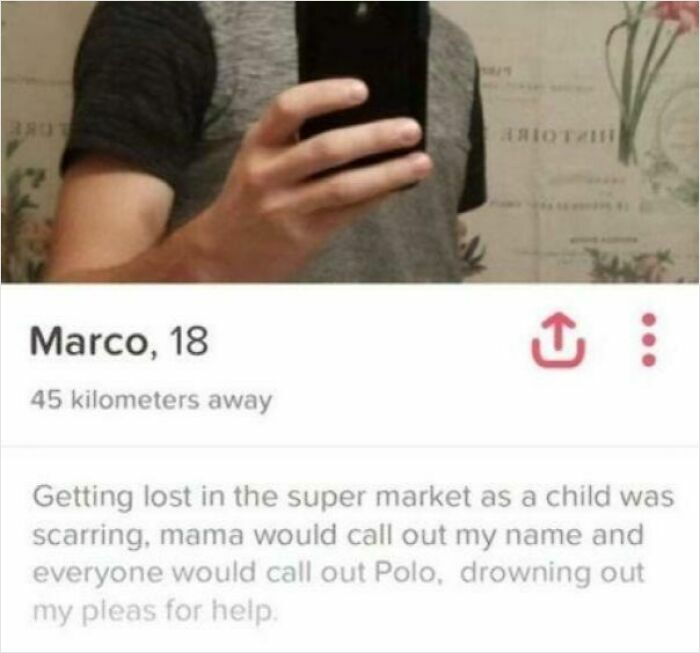 A screenshot of a Tinder profile with a funny bio, part of miscellaneous posts to entertain you at work.