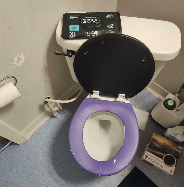 A dirty purple toilet seat with a packet of wipes on the tank, showing horrible roommates failing the vibe check.