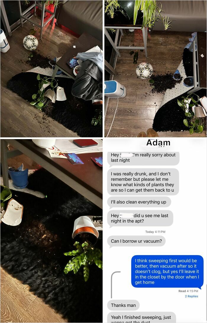 A messy living room with spilled soil from potted plants on a rug, from a horrible roommate.