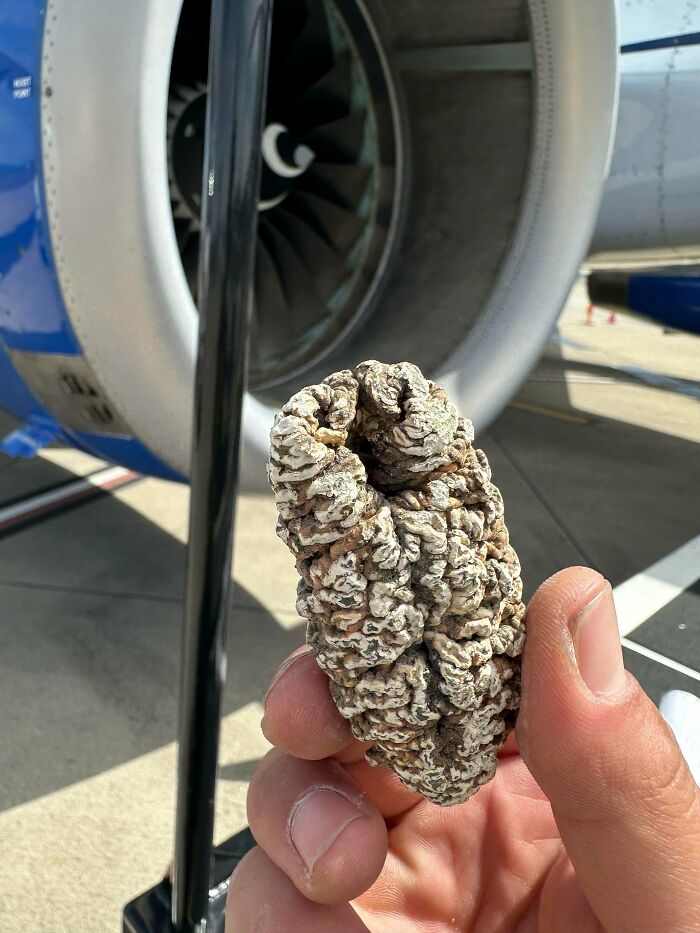 A hand holding a strange, textured, cone-shaped object in front of an airplane engine, highlighting one of the things that should be left alone.