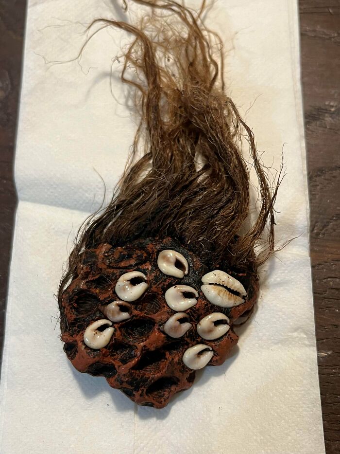 A dark, textured object adorned with small shells and strands of brown hair, resting on a white paper towel, representing things that should be left alone.