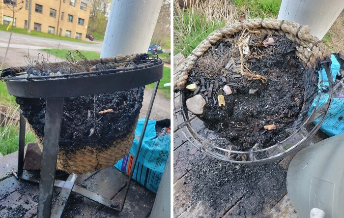 A burnt planter full of trash, cigarette butts, and ashes, left by horrible roommates.