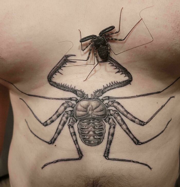A real whip scorpion crawling on a person's chest, adorned with a large scorpion tattoo. Things that should be left alone.
