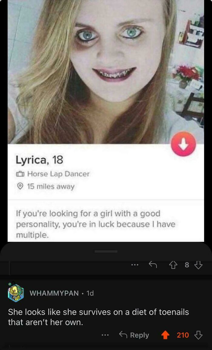 A dating profile with a girl and a hilariously savage comment about her appearance below.