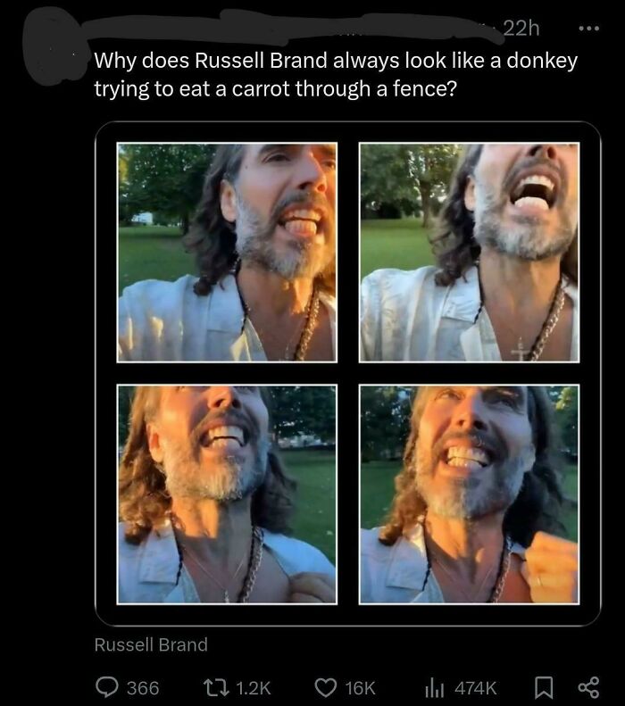 A four-panel image of Russell Brand making various facial expressions, a visual example of a hilarious savage burn.