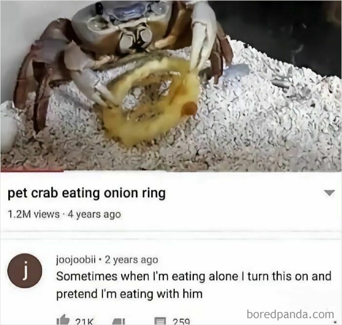 A pet crab eating an onion ring, with a wholesome comment about eating together, an unusual and heartwarming sight.