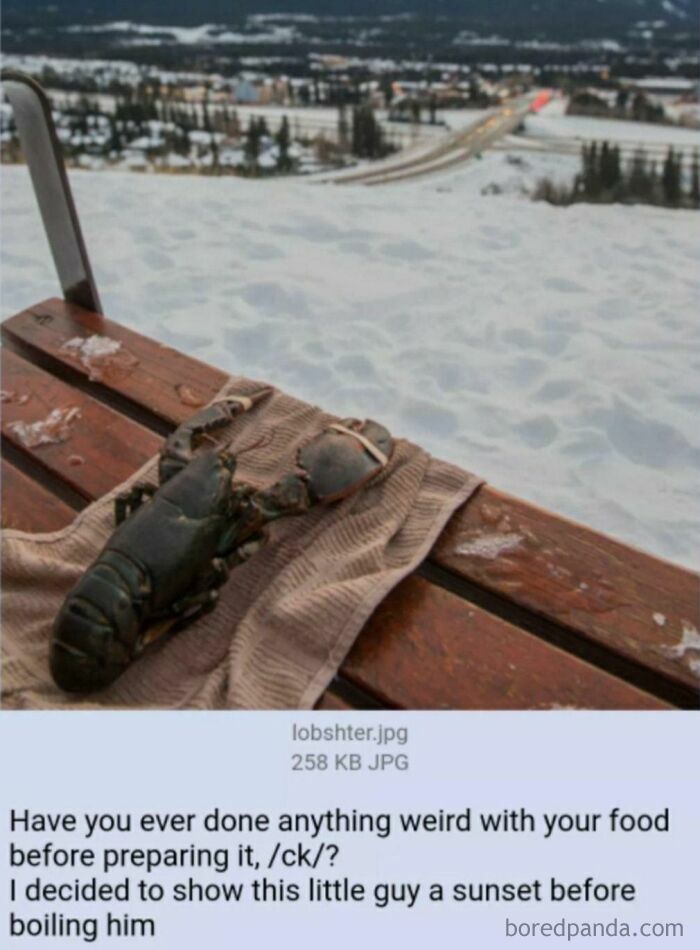 A weird and unusual photo of a lobster enjoying a snowy sunset on a bench, a wholesome moment.