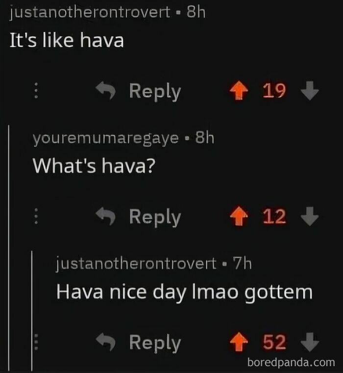 A screenshot of a Reddit conversation about wholesome, weird and unusual things and the hava nice day joke.