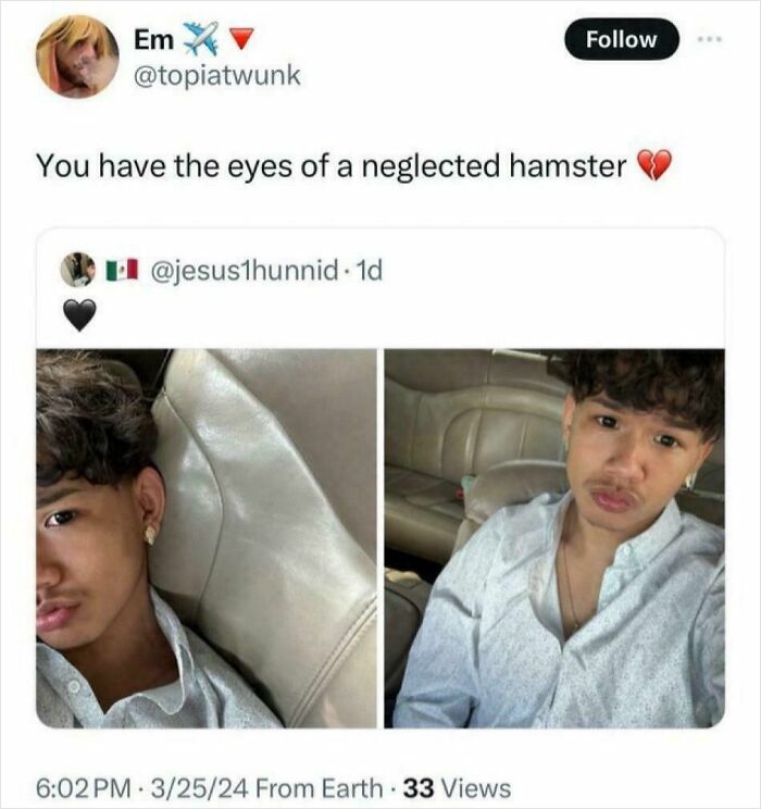 A Neglected Hamsters