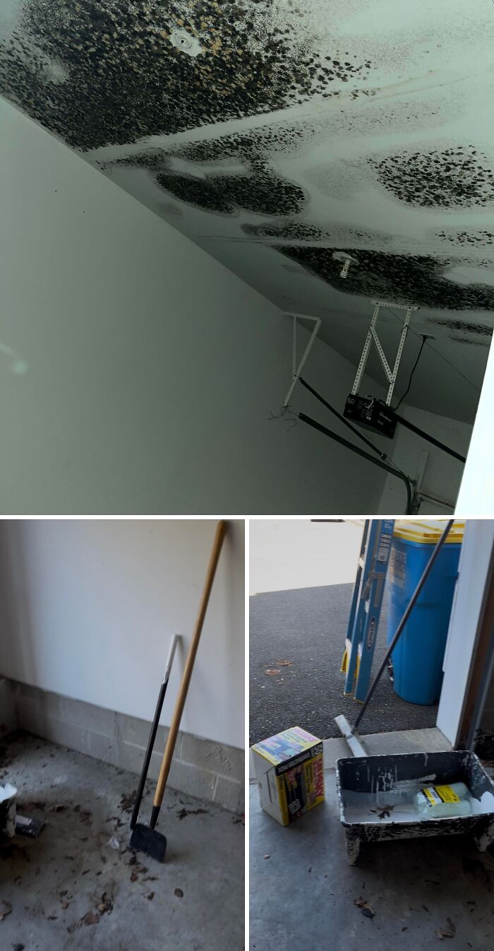 Black mold covers the ceiling and a landlord has made their tenant's life miserable with neglected repairs.