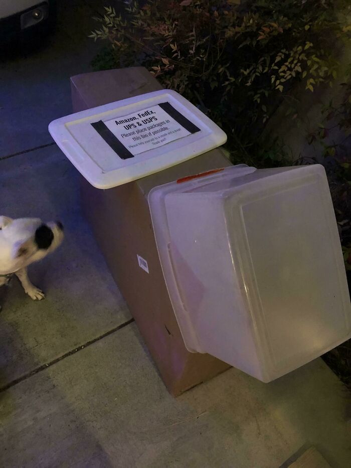 A package delivery fail shows multiple bins on a large box, meant for deliveries, with a dog peeking out.